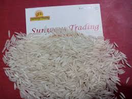 Manufacturers Exporters and Wholesale Suppliers of White Pusa Basmati Rice Ladwa Haryana